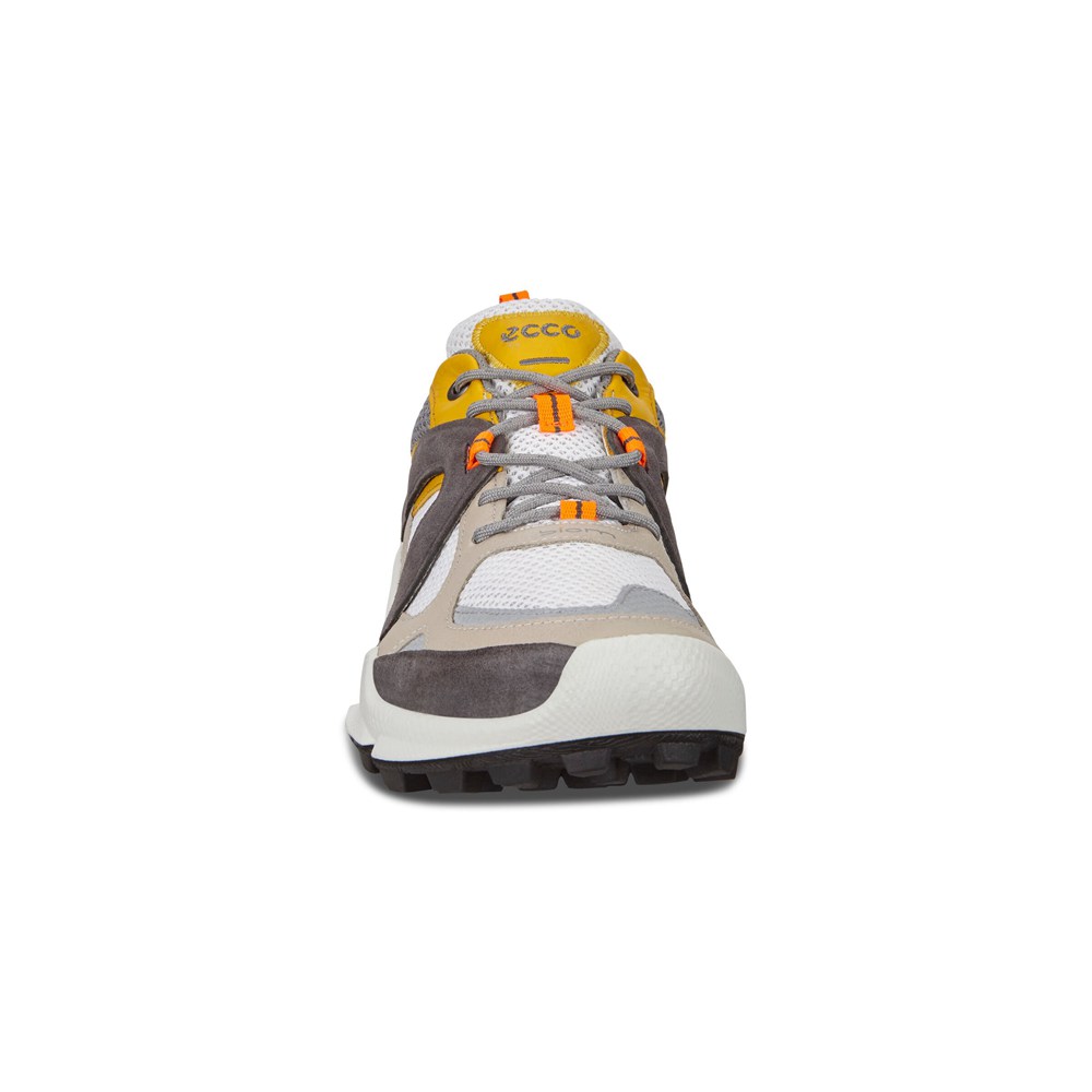 Mens Hiking Shoes - ECCO Biom C-Trail Low - Multicolor - 6042HMVAY